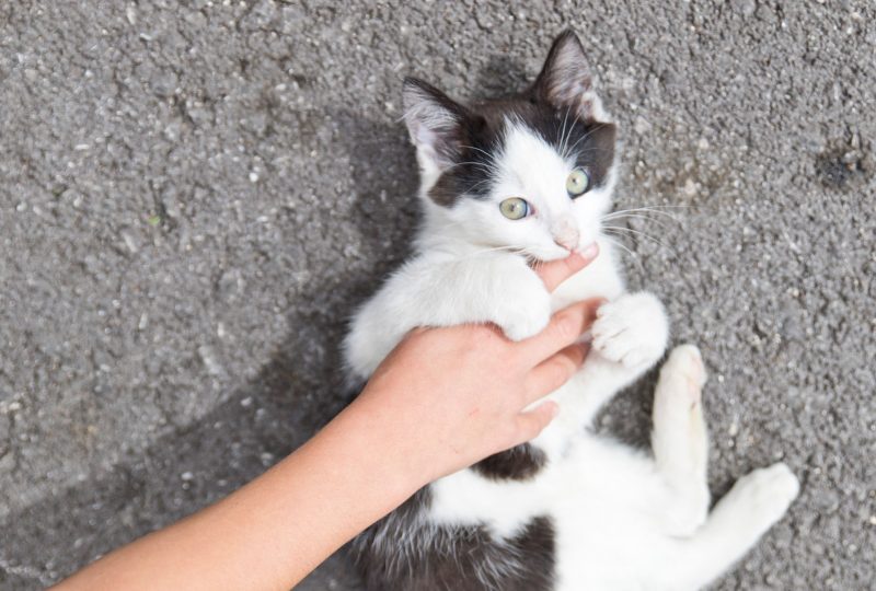 Sprengerhof Sprengerhof